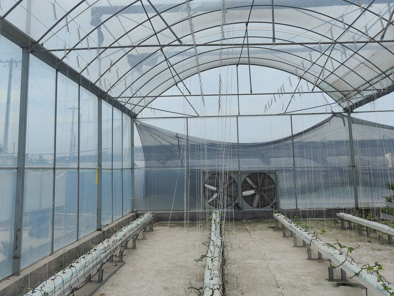 Multi-span plastic film greenhouse
