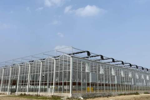Ekspor rumah kaca dan sistem hidroponik Makedonia