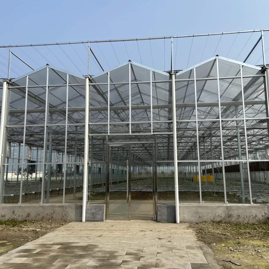 Macedonian greenhouses