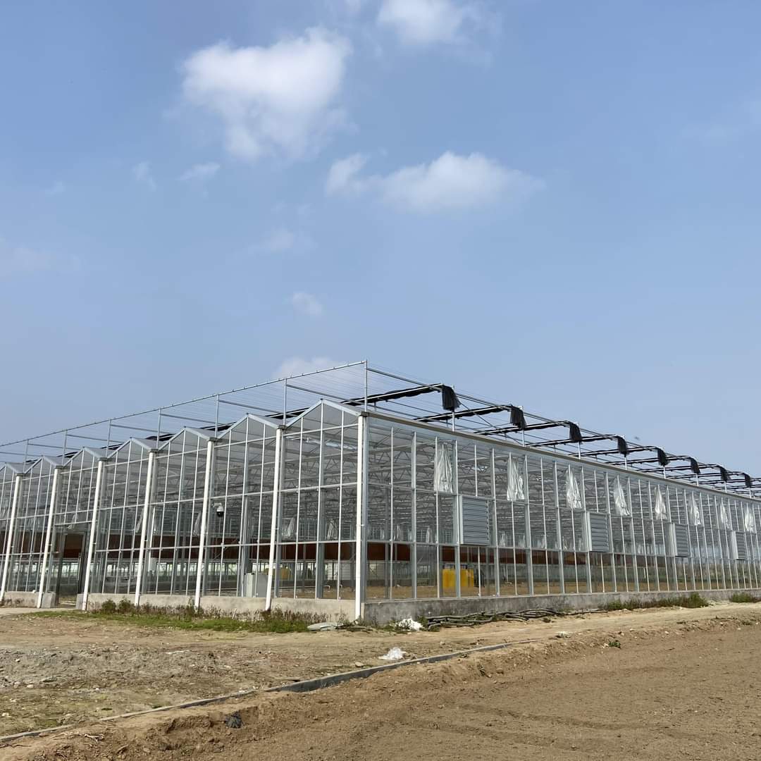 glass greenhouses