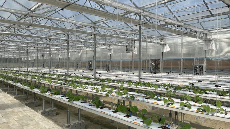 multi-span polycarbonate greenhouse