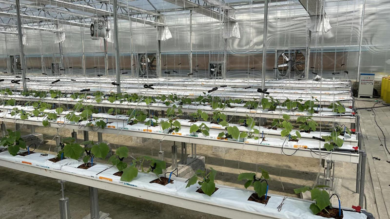 intelligent polycarbonate greenhouse