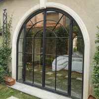 French Vintage Steel Doors