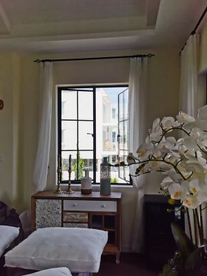 Energy efficient vintage windows​