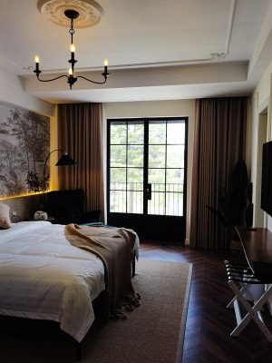 Steel French Windows Custom Size​