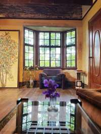 French Vintage Steel Windows​