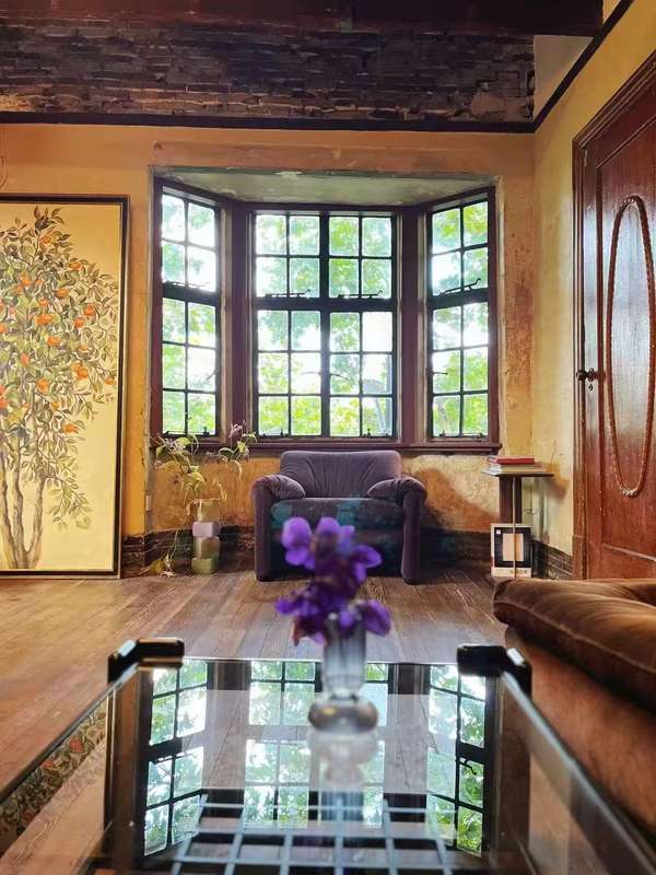 French Vintage Steel Windows​