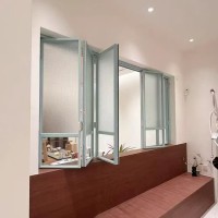 Custom Color Steel Windows​