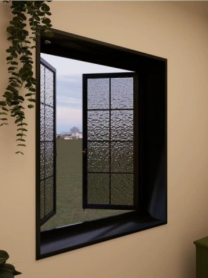 Distressed Black Steel Windows​