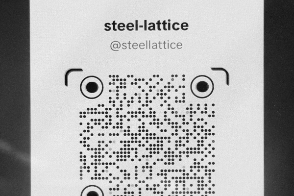 Discover Steel-Lattice on TikTok