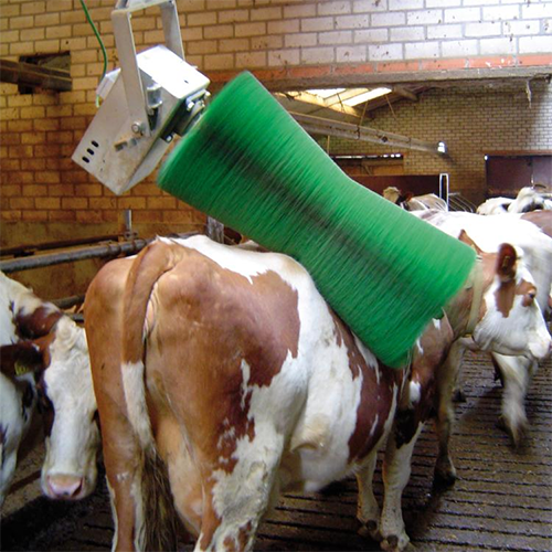 milk production milk production