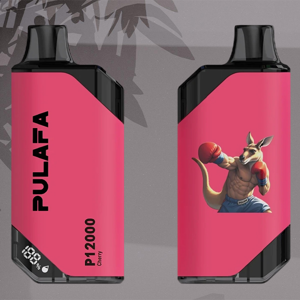 Strawberry and watermelon flavored electronic cigarettes