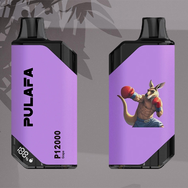 Grape flavored electronic cigarette
