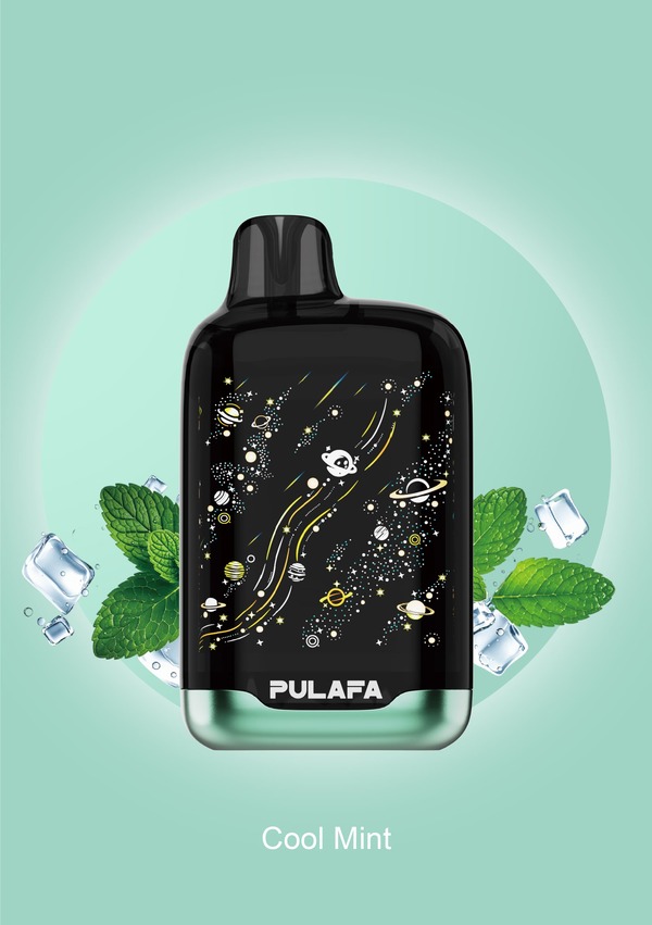 Cool Mint Flavored Electronic Cigarette