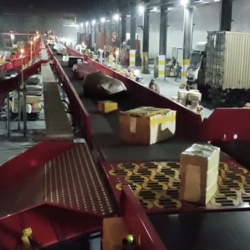 LIJI Intelligent & Xinjiang Kangaroo automated sorting project