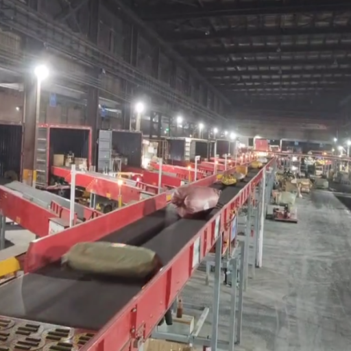 Balance wheel sorting system