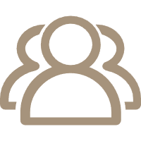 PROFESSIONAL PROFESSIONAL