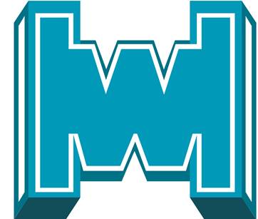 ИНТЕЛЛЕКТУАЛЬНЫЕ ТЕХНОЛОГИИ HAIWEI