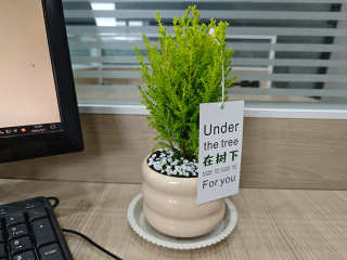 For the coming Women's day