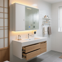 Bathroom Mirror Cabinet
