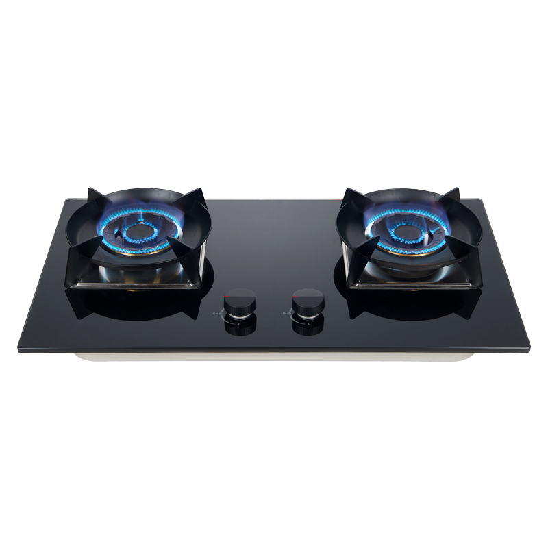 dual burner gas stove