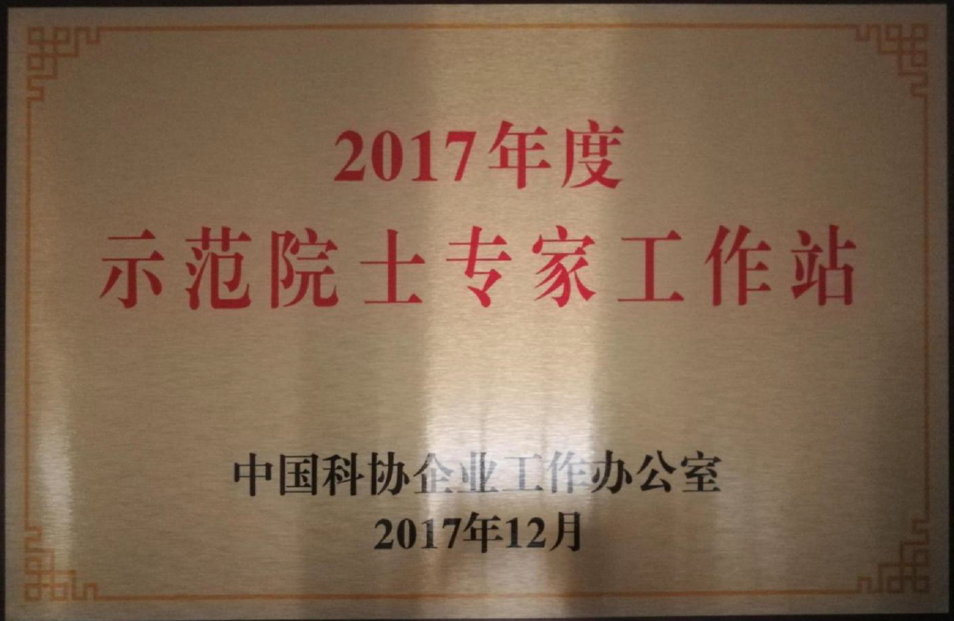 Academician Workstation