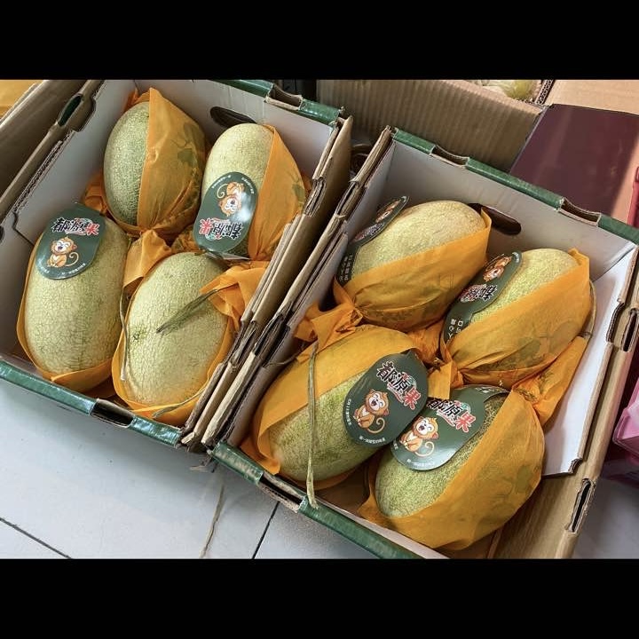 fruits