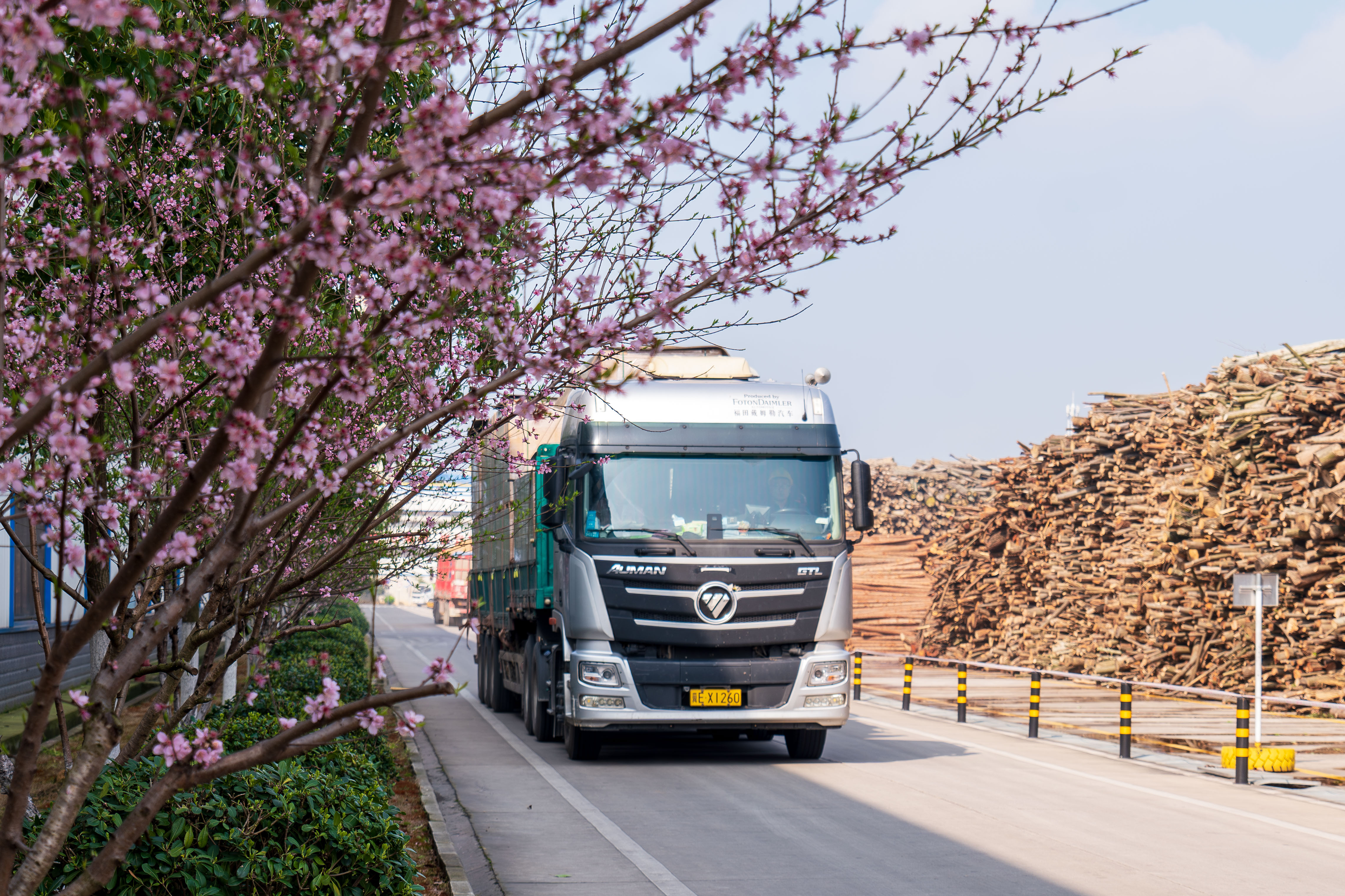 environmental protection, low-carbon, garden-like factory, large green coverage