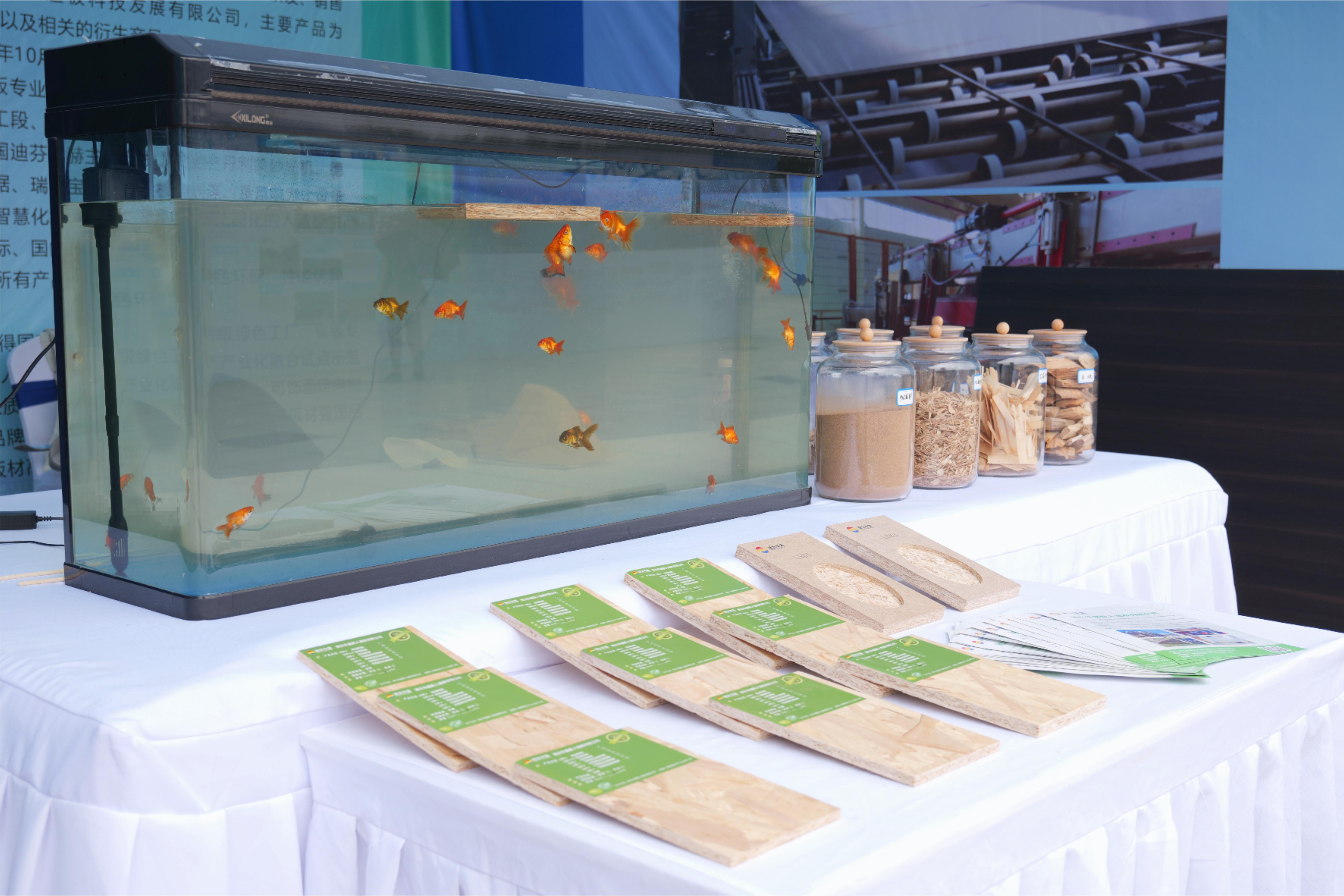 2024 Hubei Provincial Environment Day Conference