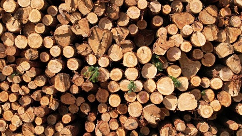 OSB