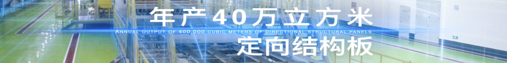 responsibility - Hubei Huashengxin wood-based Panel Co.,Ltd.