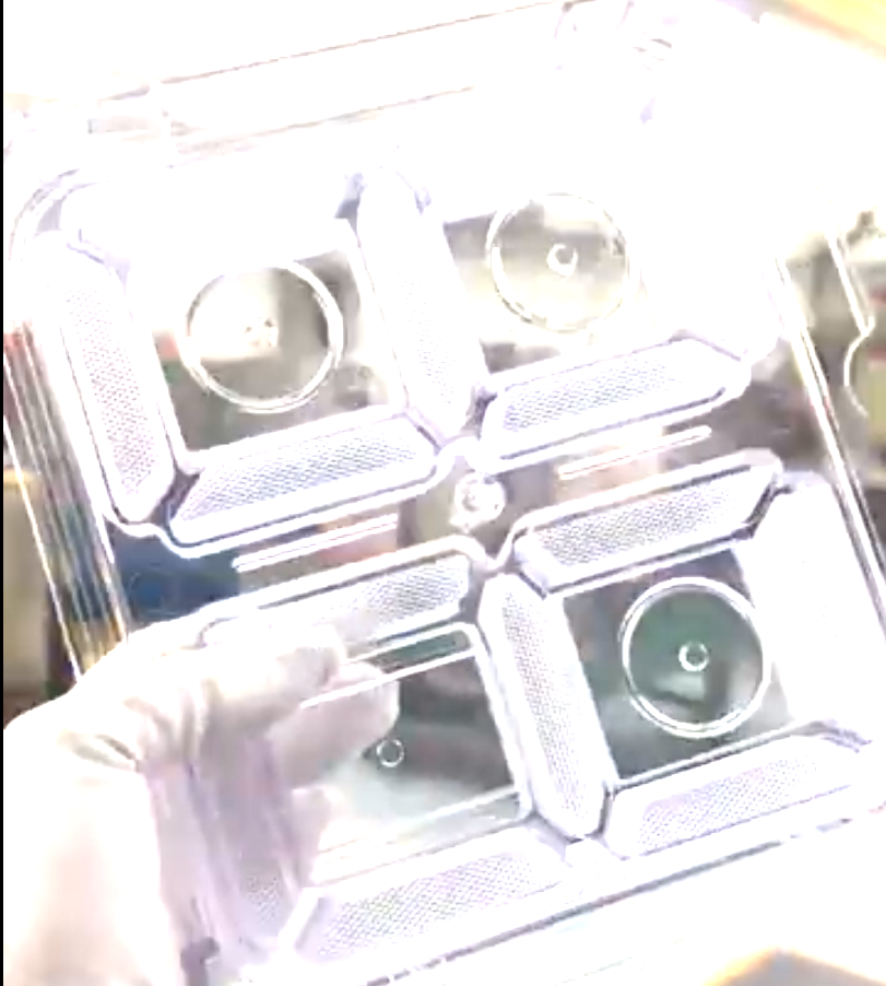 The Art of Precision: Molding Flawless Transparent Parts