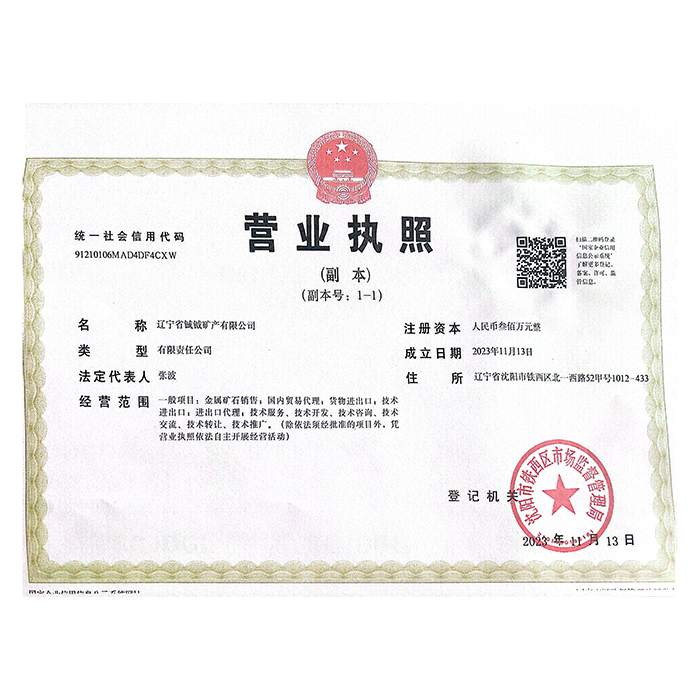 Business license