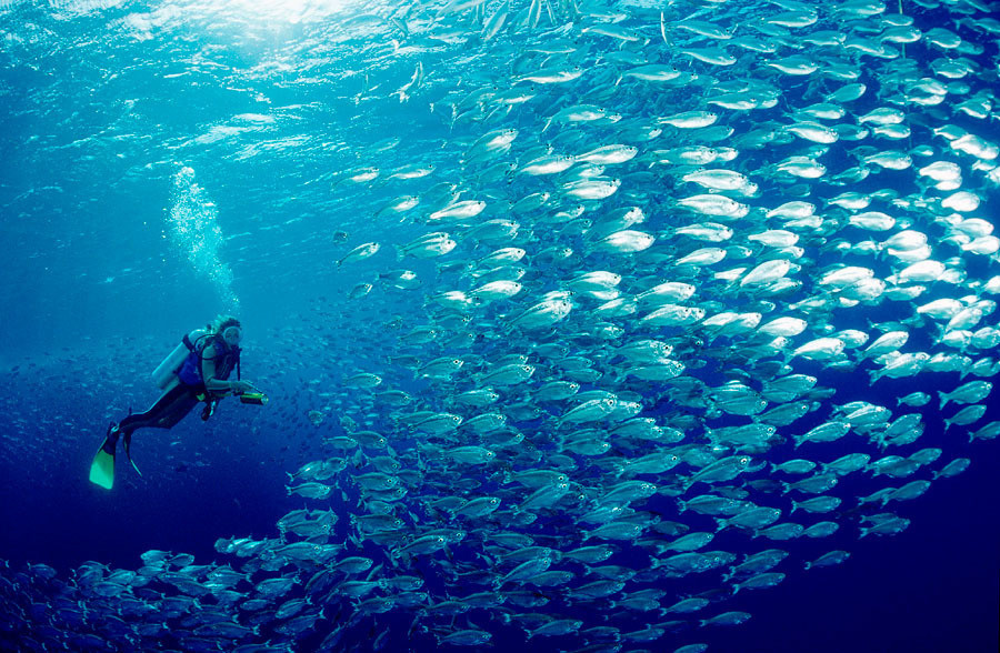 aluminum alloy gas cylinders aluminum alloy gas cylinders