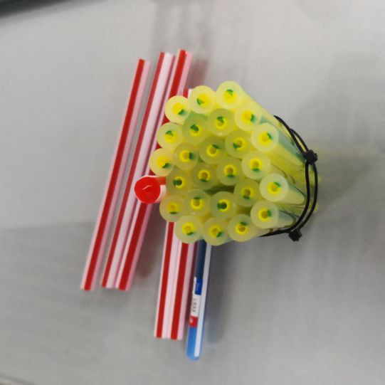Pen Barrel extrusion machine