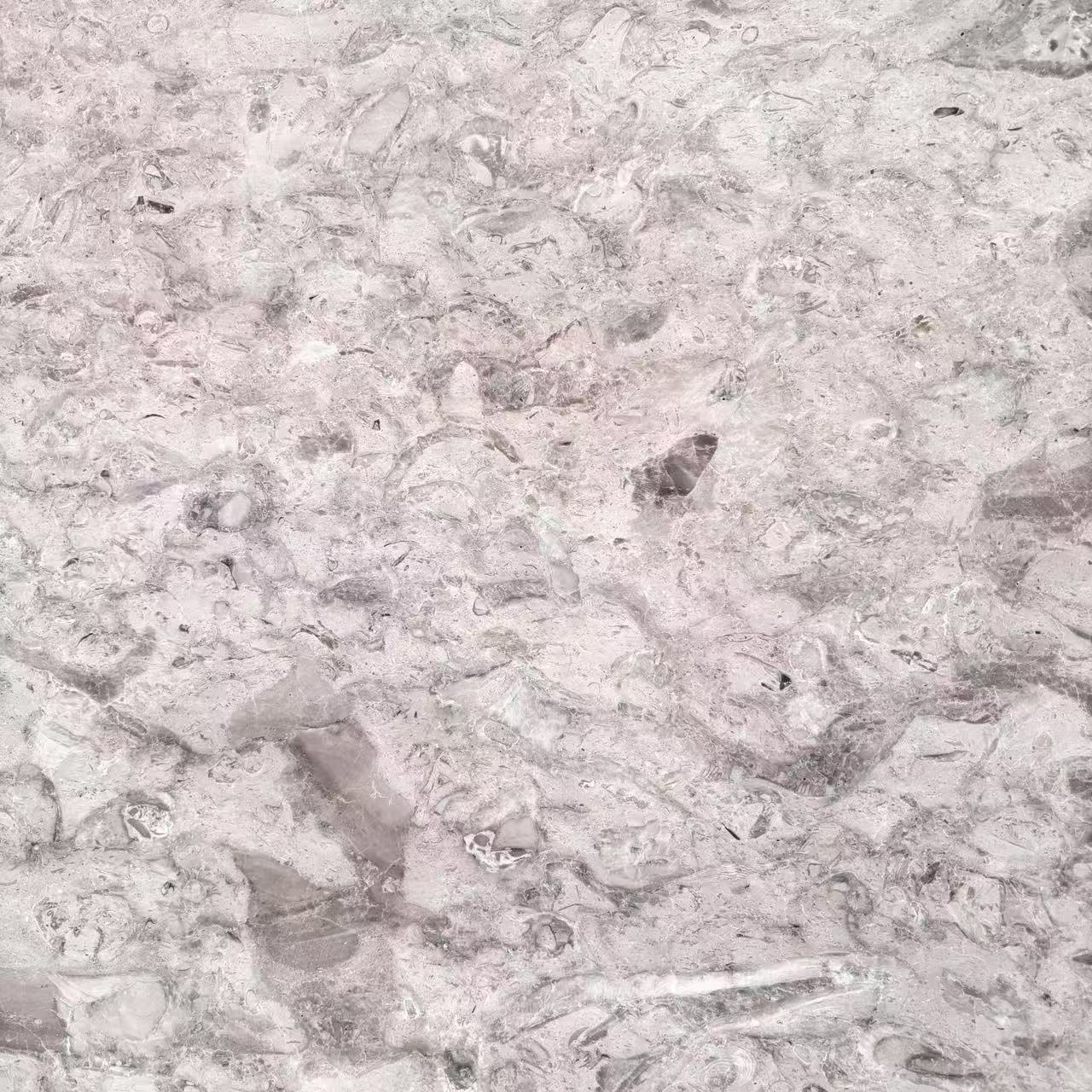 جبال الألب الرمادية