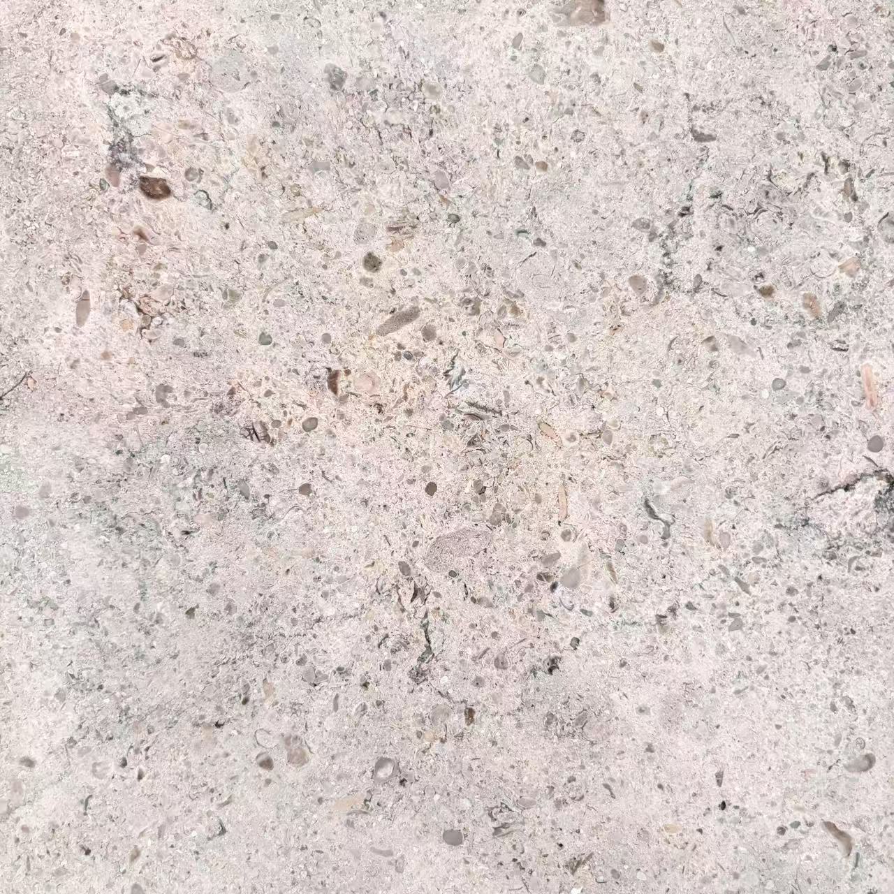 حجر السين الجيري الرمادي