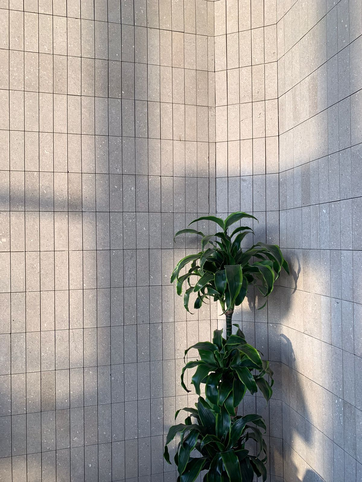 Interior decoration