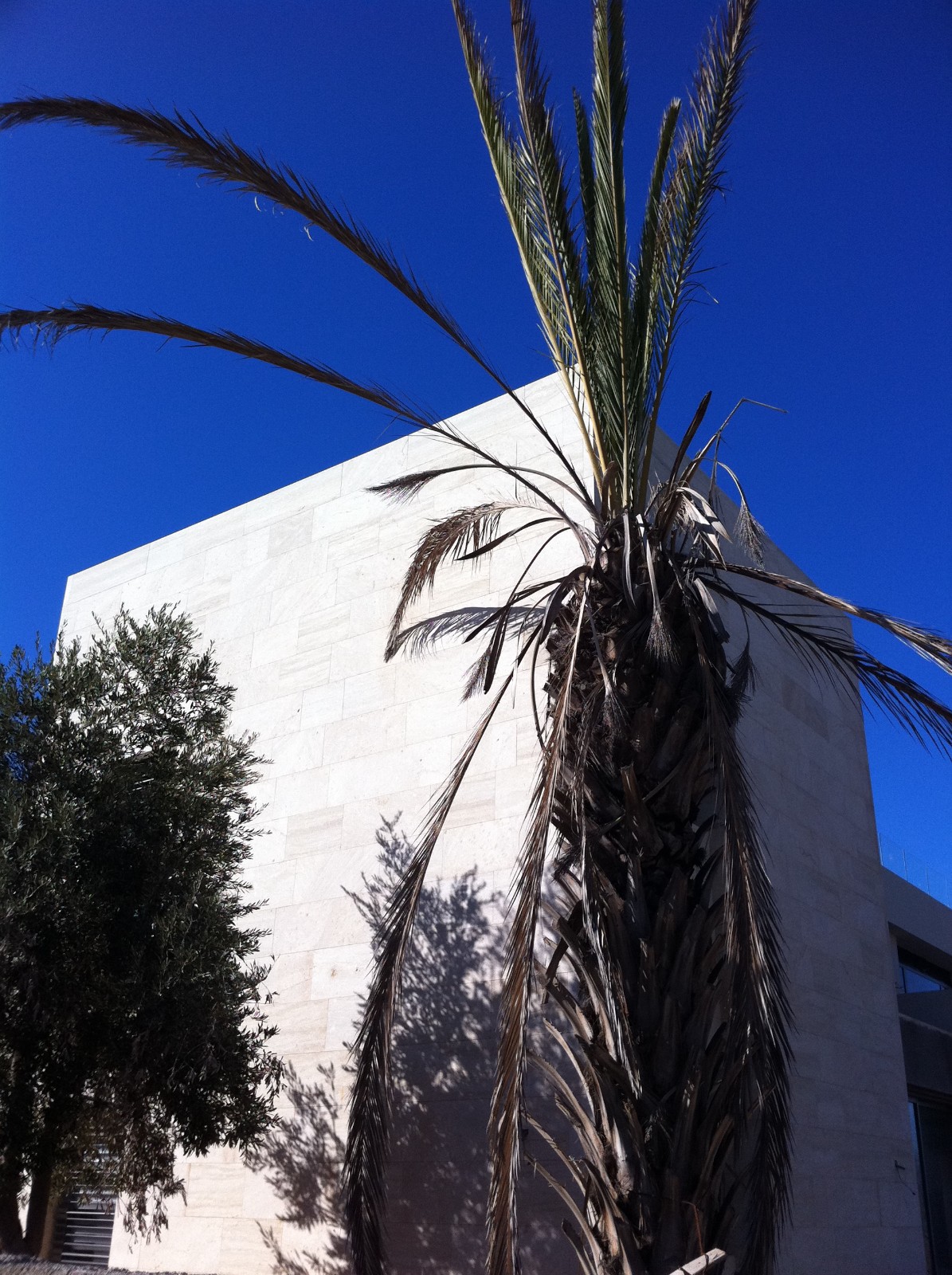 Tel Aviv Private villa