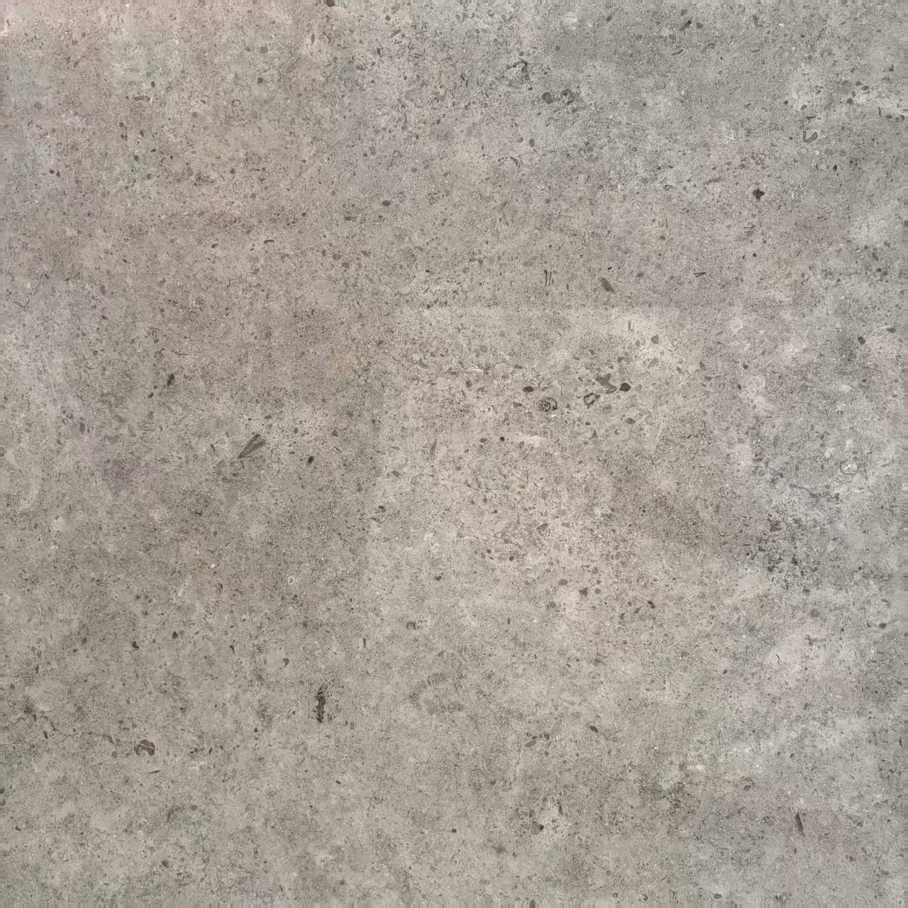 Seine River Limestone