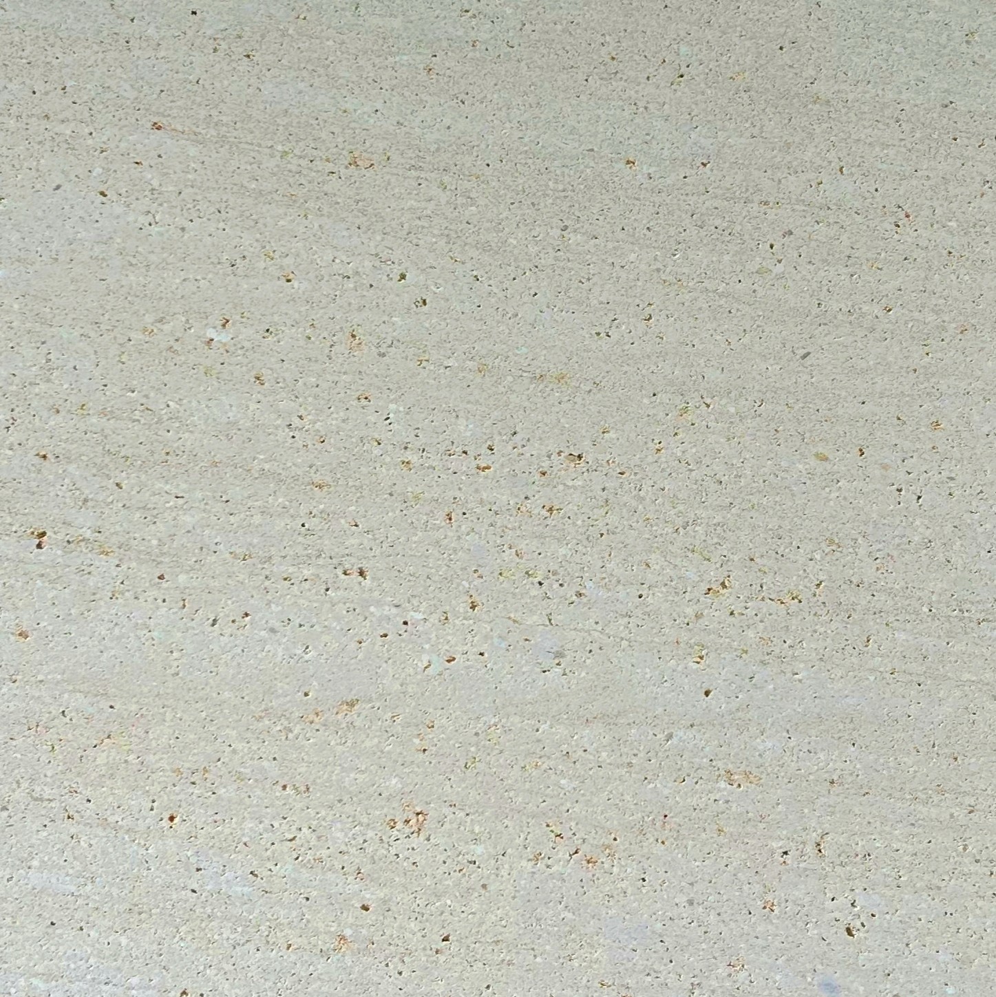 Coral limestone