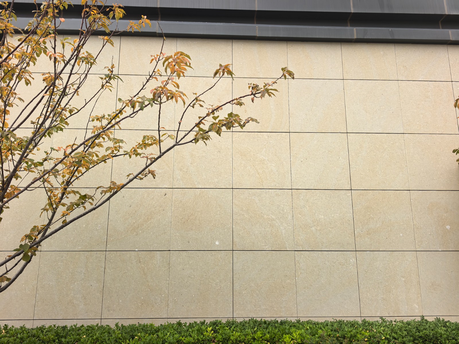 Exterior wall cladding