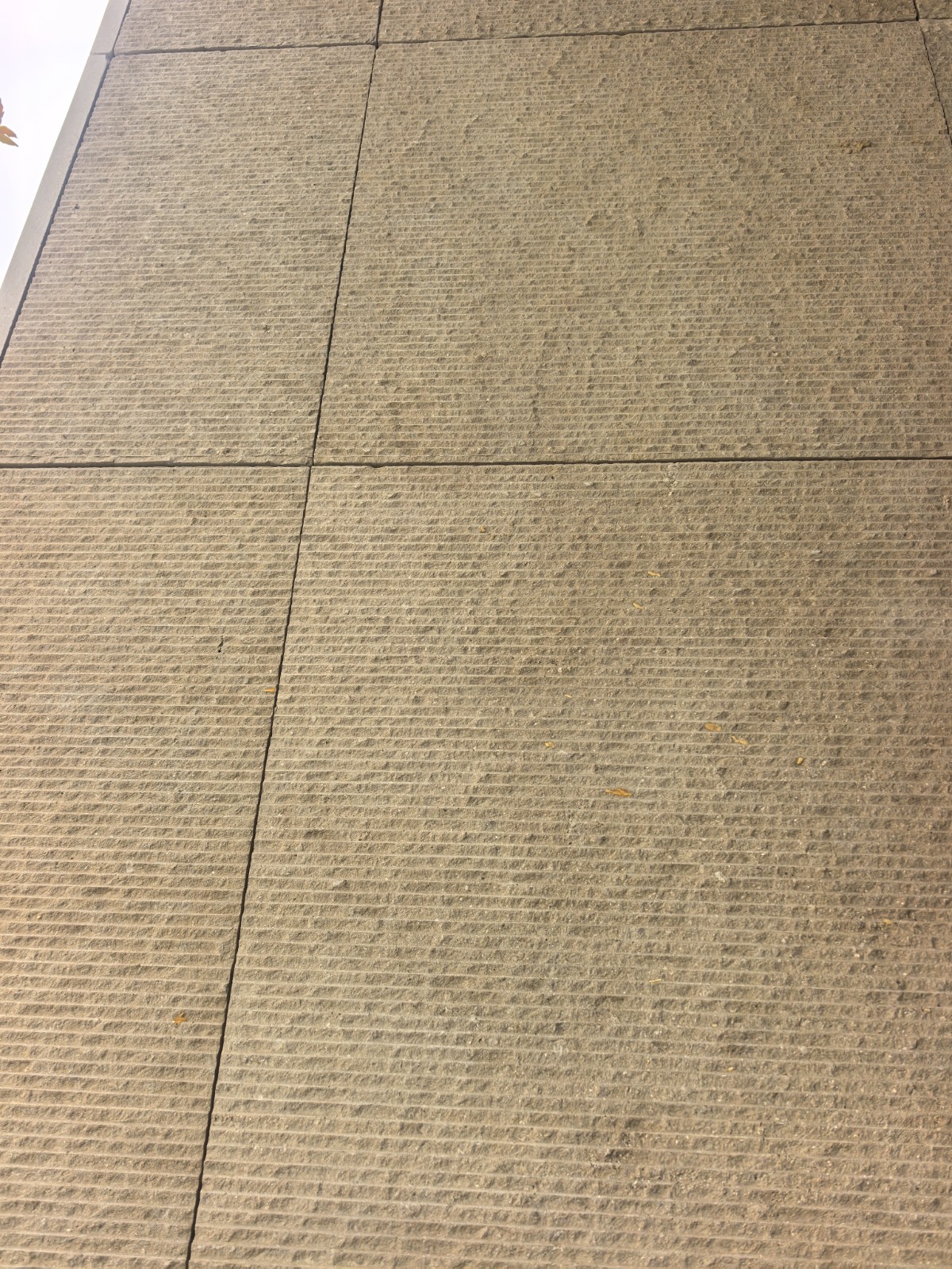 Exterior wall cladding