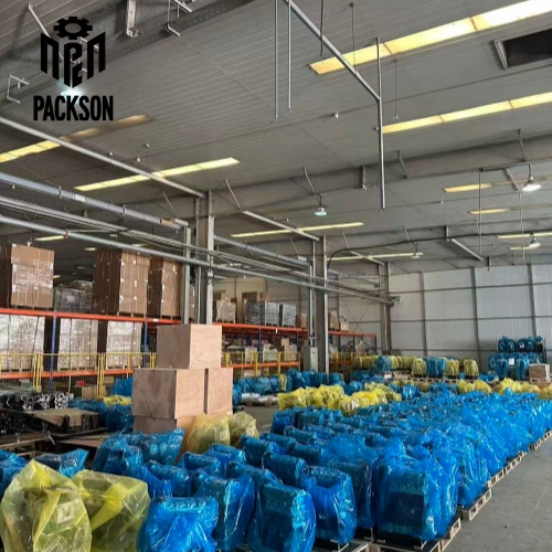 Bilan des fêtes de Qingming : L’usine de moteurs Packson redémarre ! Des centaines de moteurs prêts à être expédiés dans le monde entier.