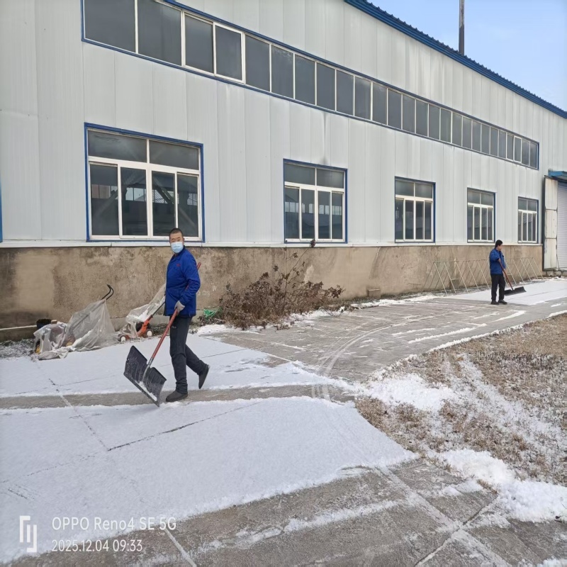 Dawn Network Industry Warming Shenyang