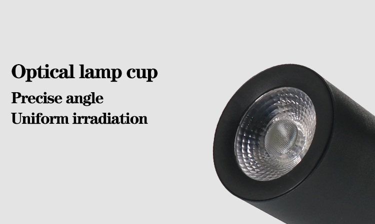 track light