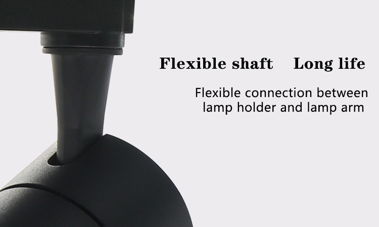 track light spotlight