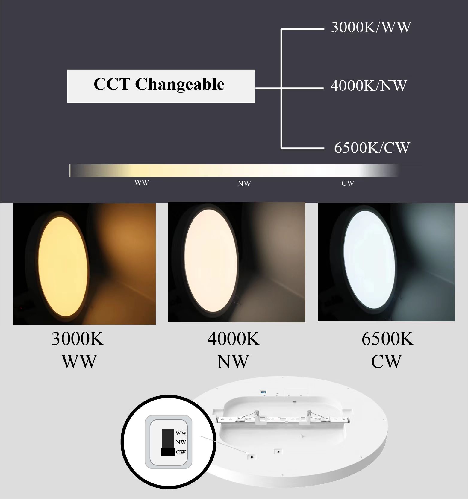 dip switch