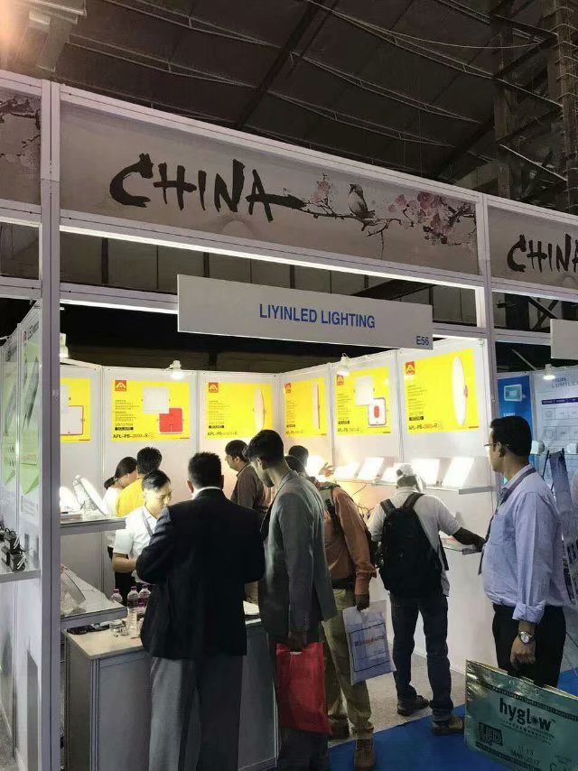 2017 India Lighting fair