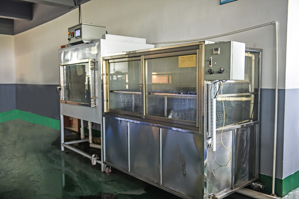 Rain&High Temperature Test